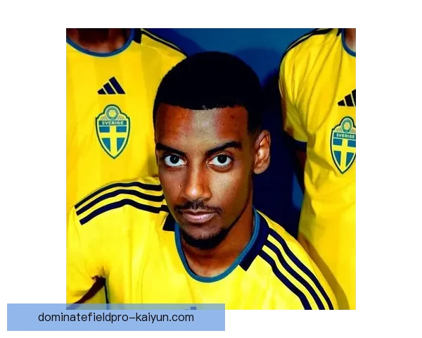 瑞典国家队最新阵容及球员状态分析值得关注