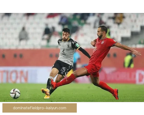 本菲卡战术执行表现稳健，攻防转换效率持续提升